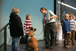 Toni auf dem Reisesupermarkt